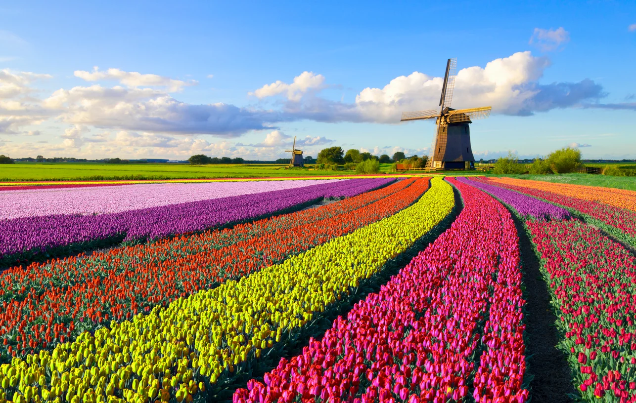 overview-of-payroll-in-the-netherlands