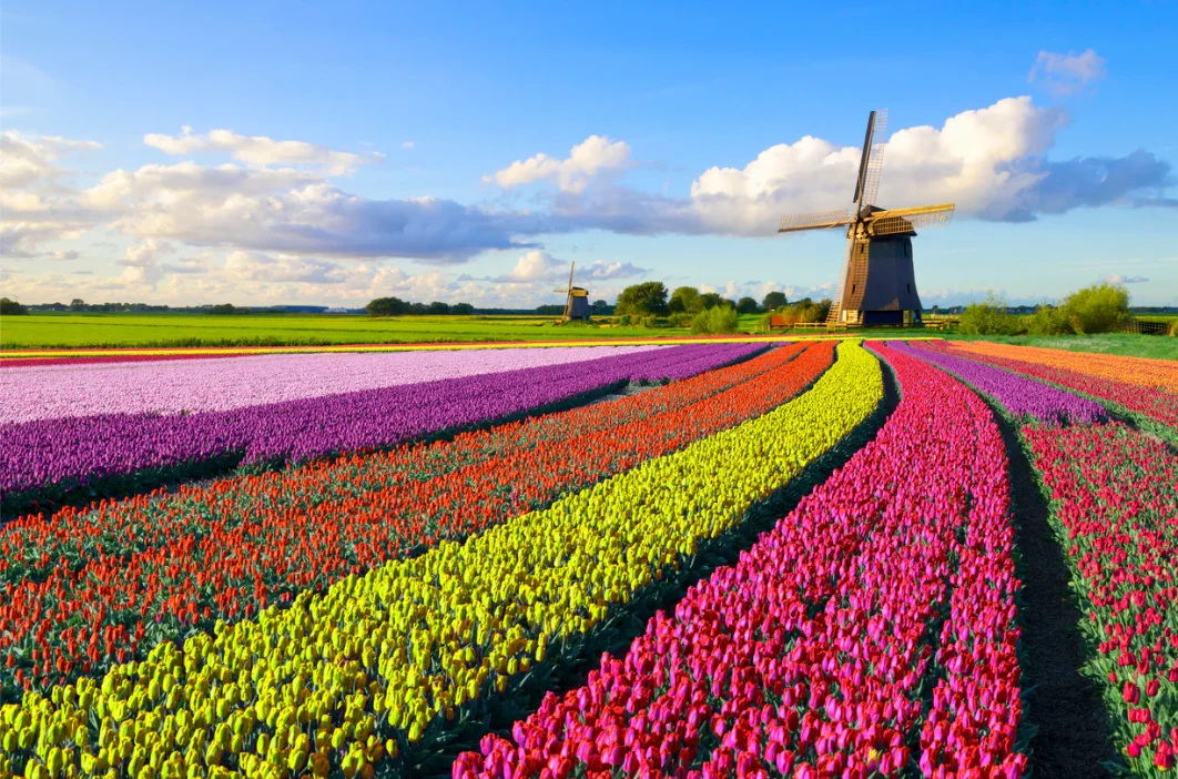 year-end-legislation-update-2026-netherlands